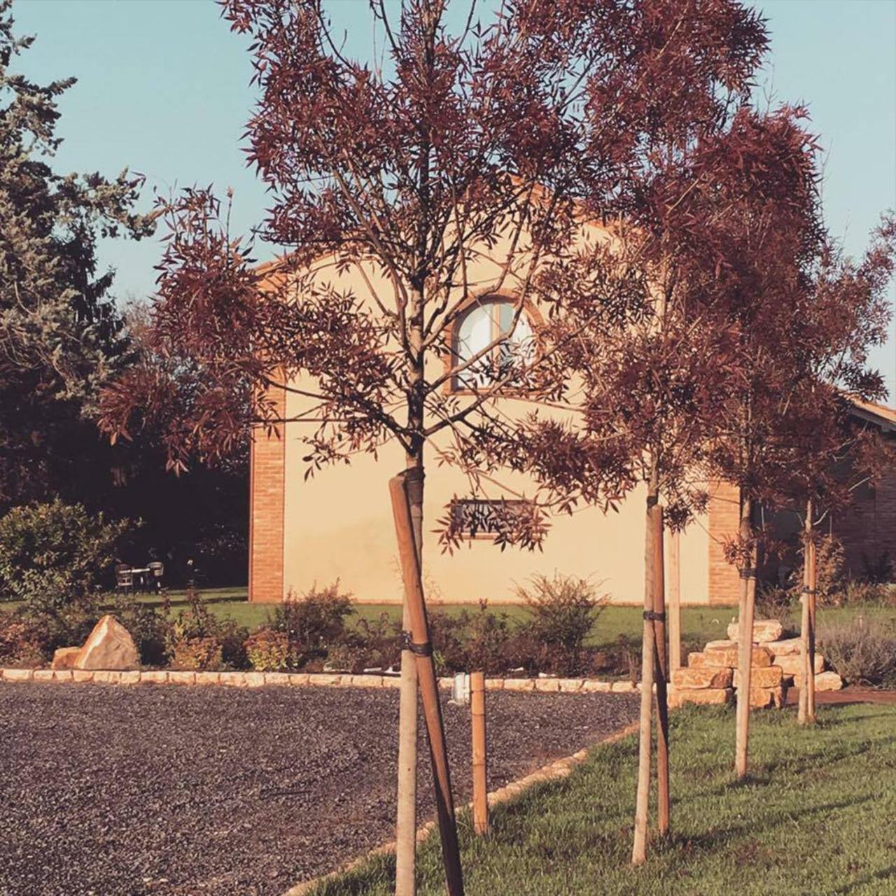 Agriturismo Bassanine Monticelli dʼOngina Εξωτερικό φωτογραφία